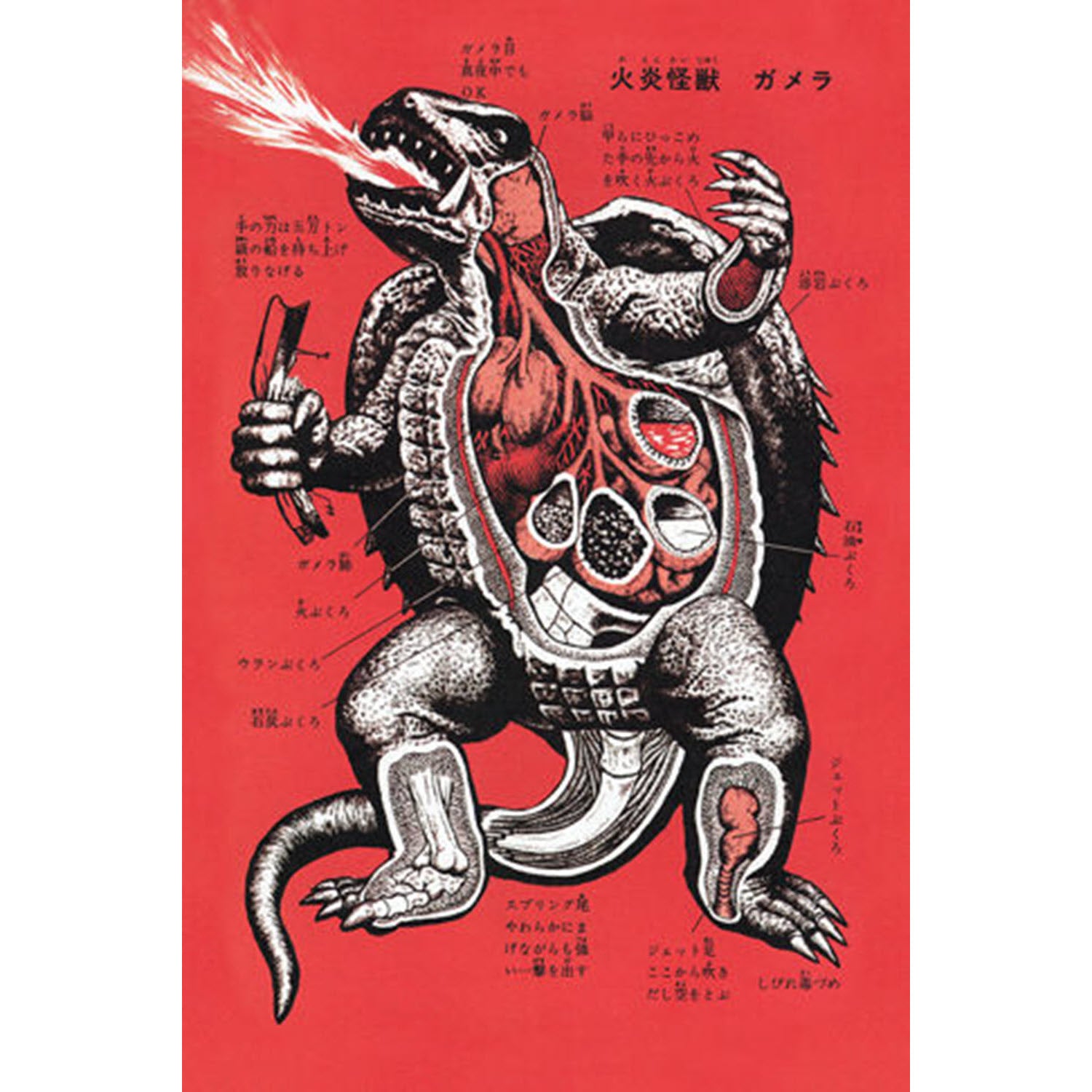 Japanese Monster Turtle