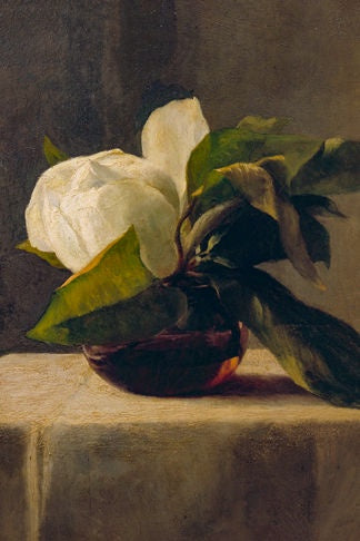 Magnolia Flower in Glass Vase