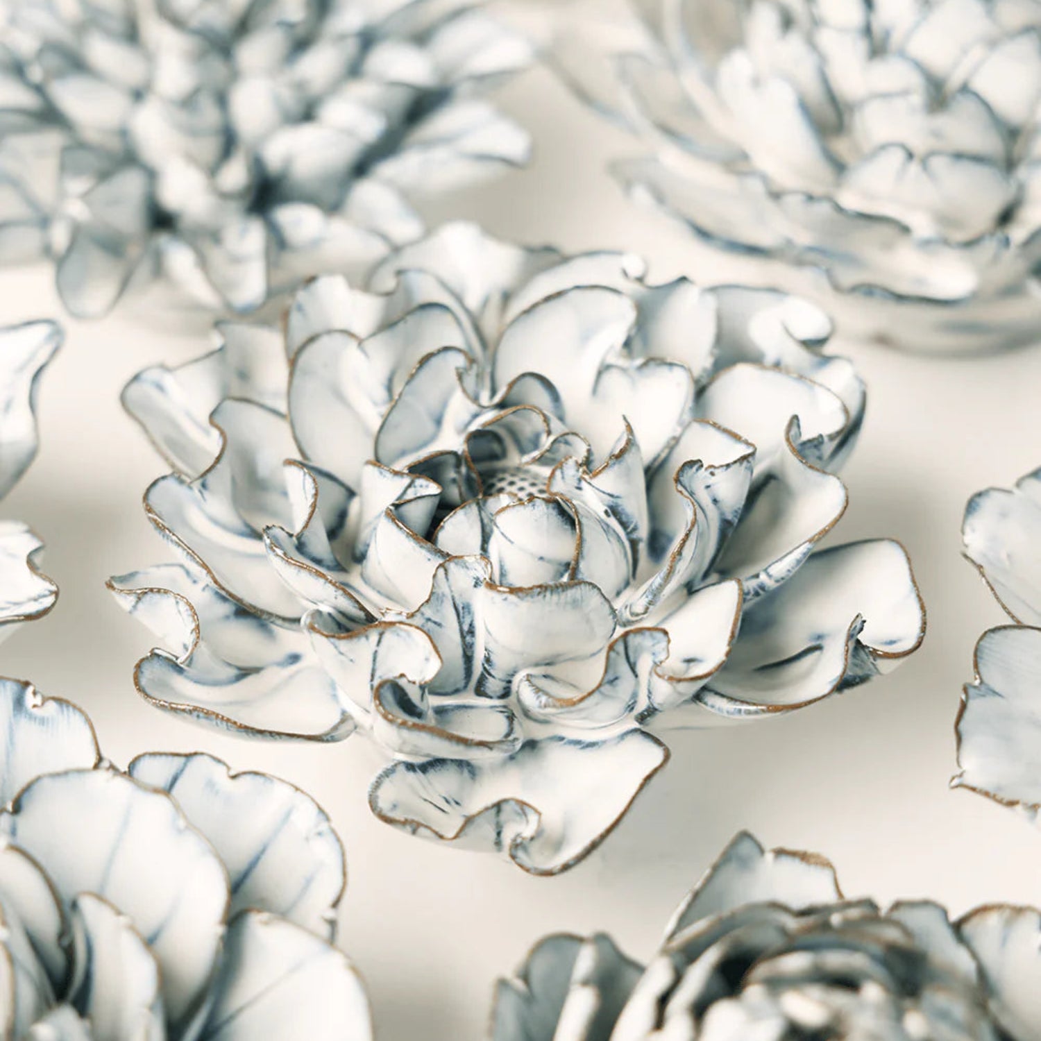 Nantucket Hawthorn 8