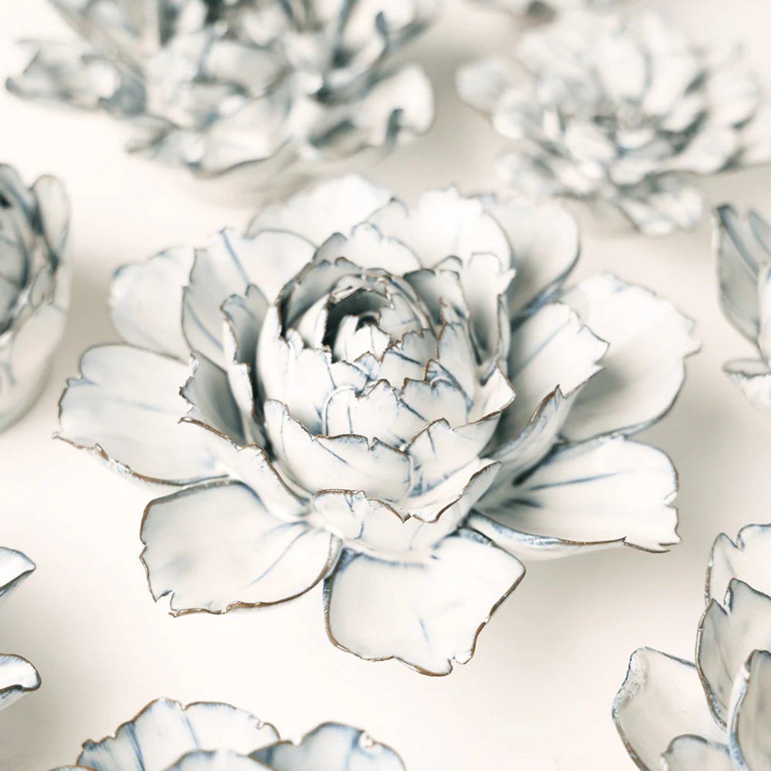 Nantucket White Camelia