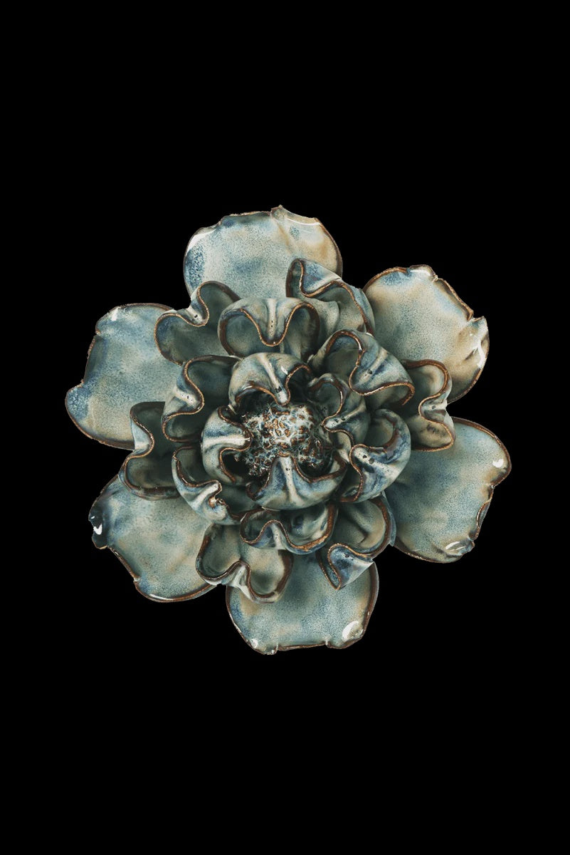 Navy Voyage Lisianthus