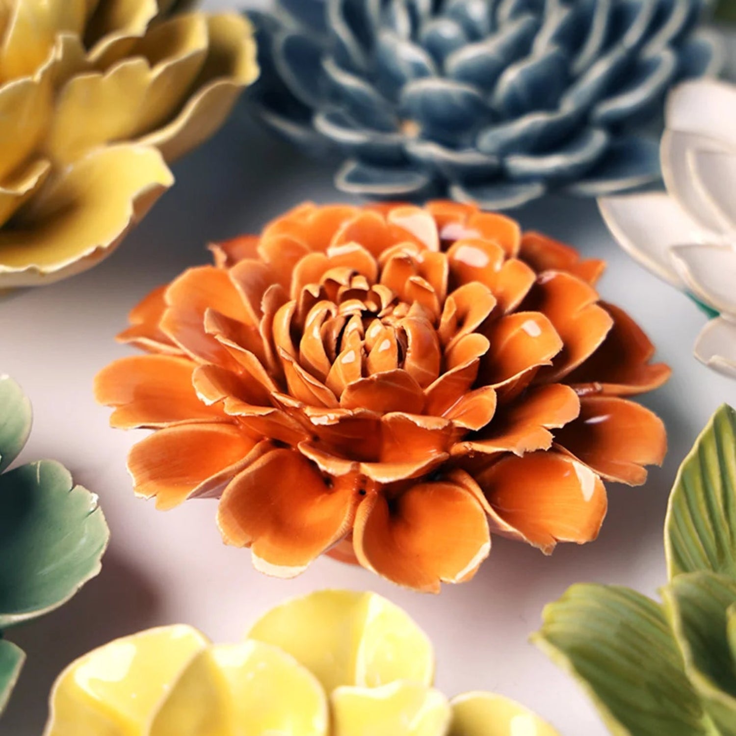 English Garden Fiesta Marigold