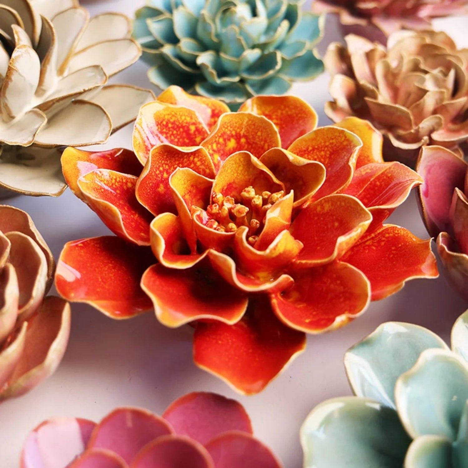 French Orange Yellow Coreopsis