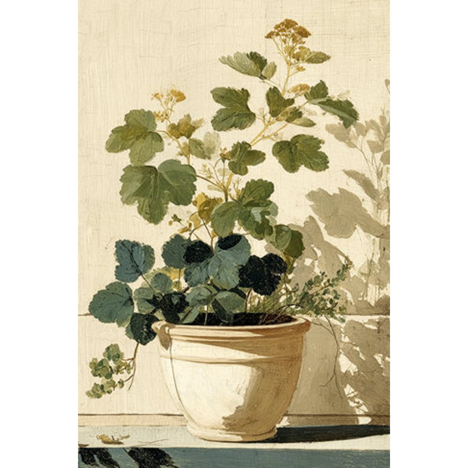 Outdoor Plant