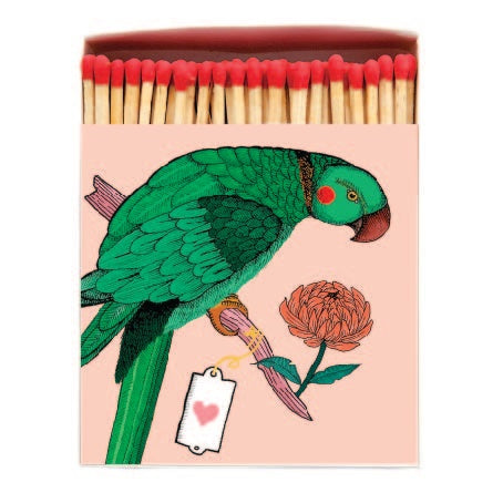 Parrot Matchbox