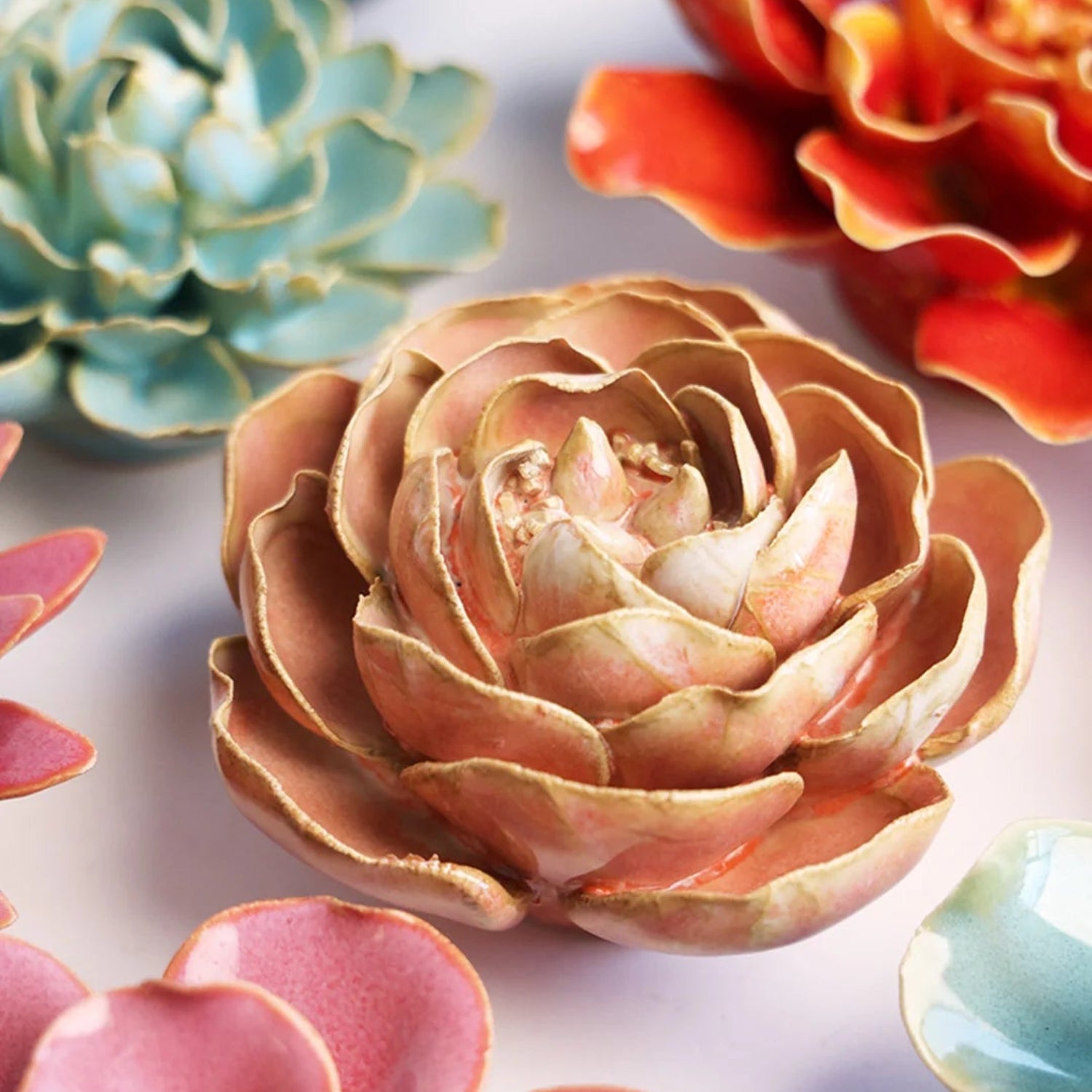 French Peach Big Ben Peony