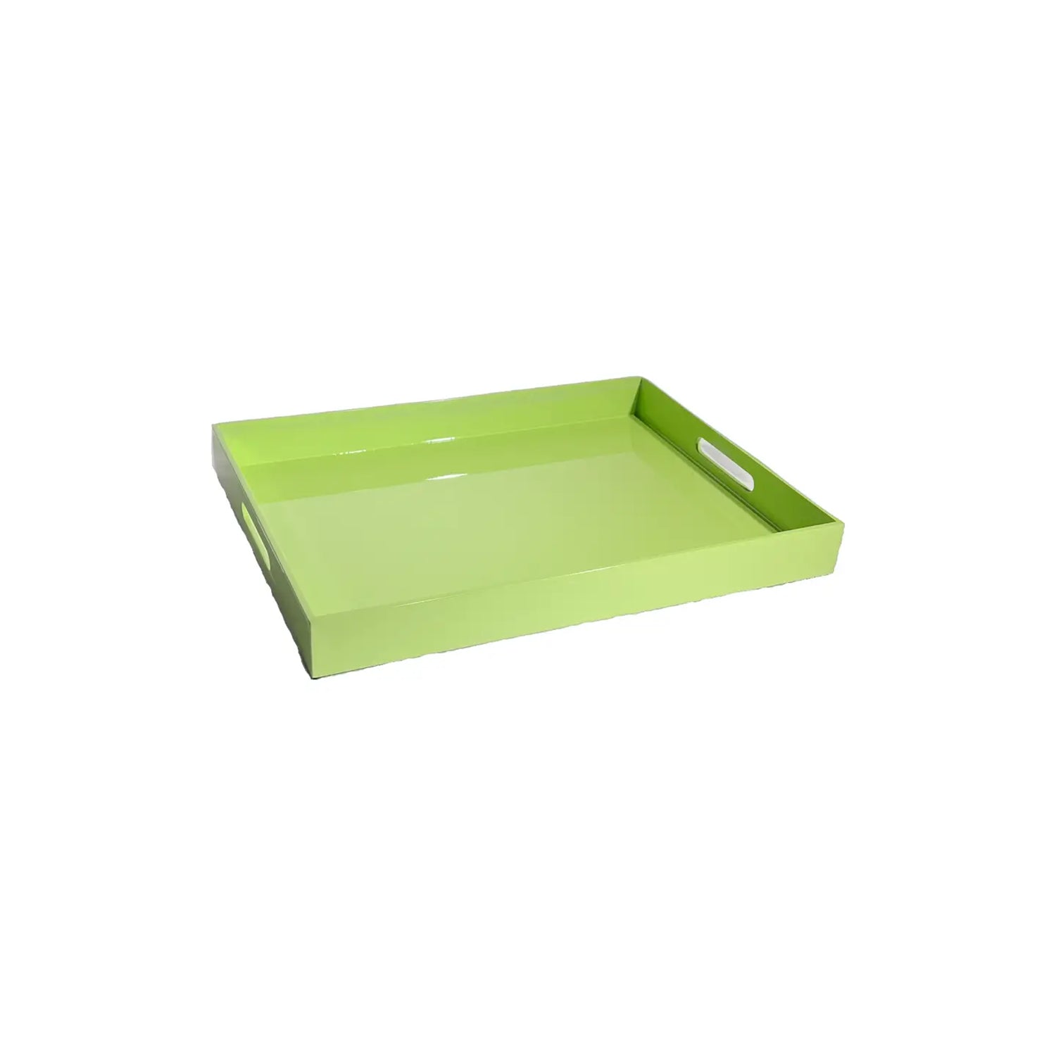 Rectangular Medium Lacquered Tray