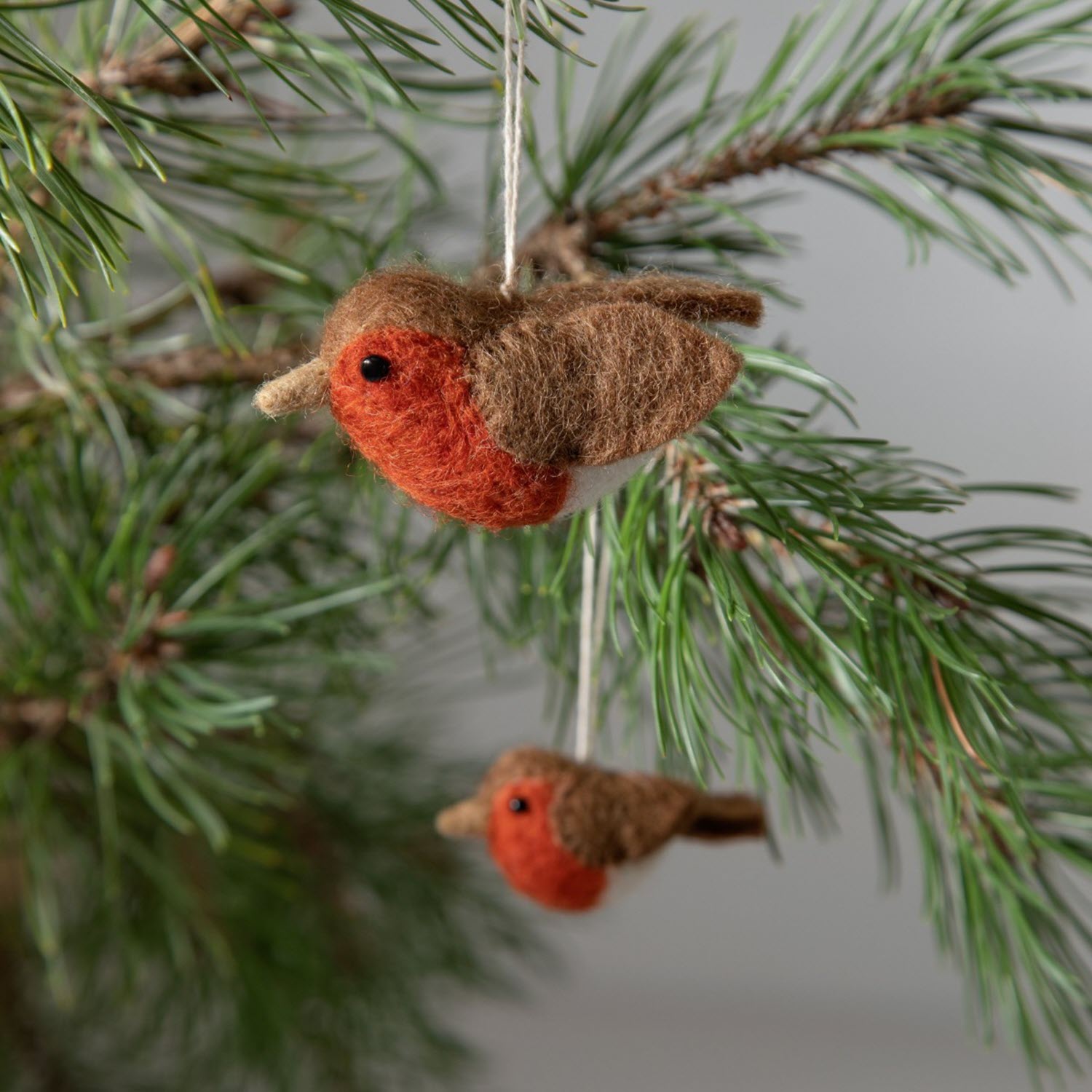 Robins - Set of 2