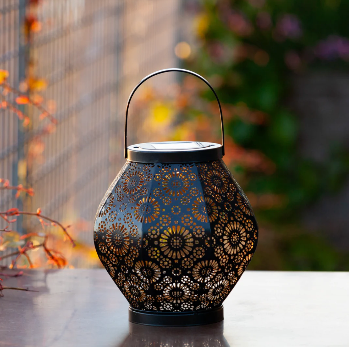 Black Metal Daisy Outdoor Solar Lantern