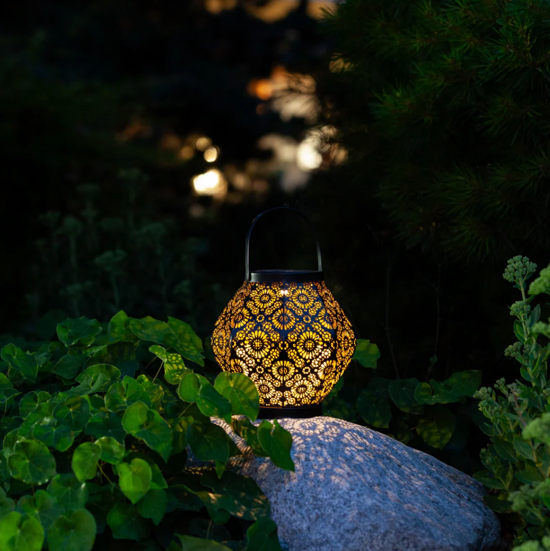 Black Metal Daisy Outdoor Solar Lantern