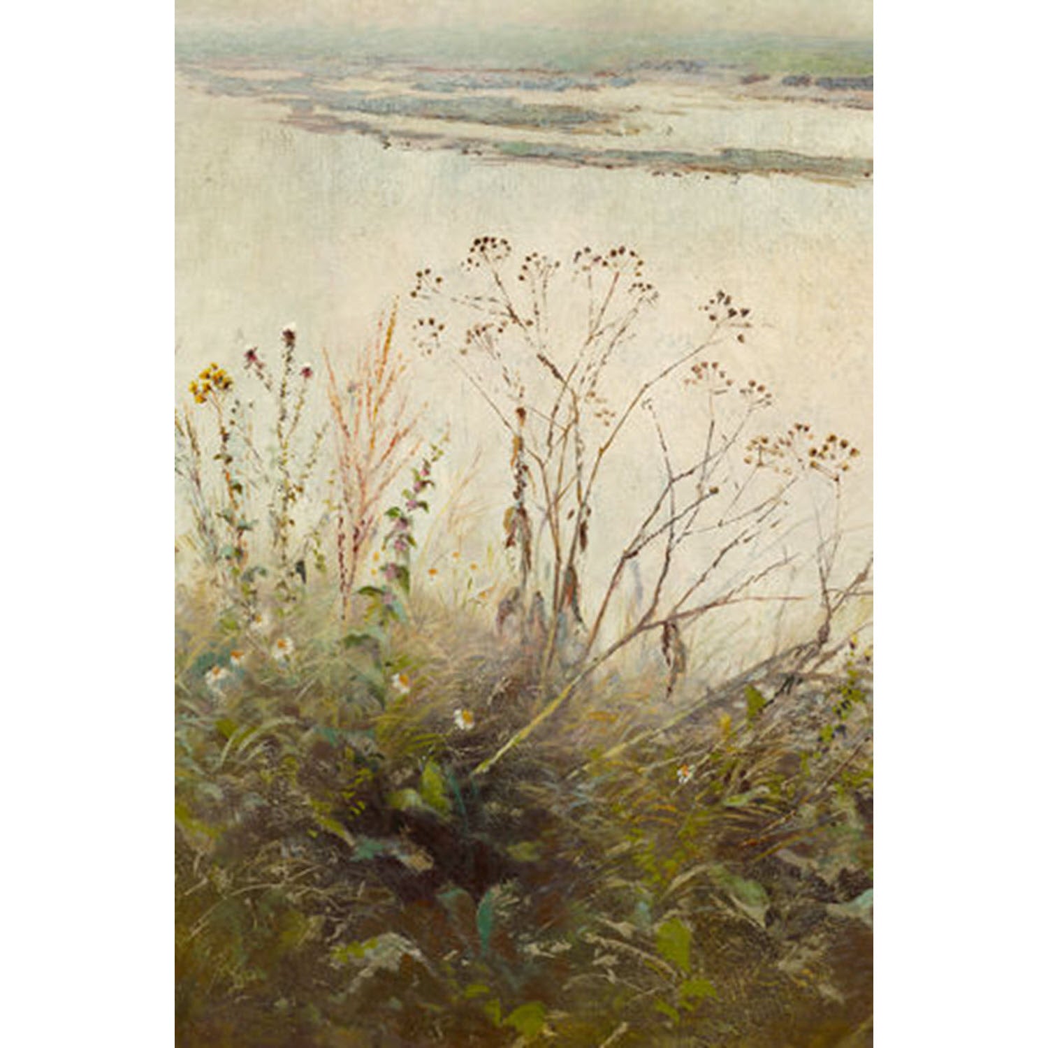 Shoreside Plants