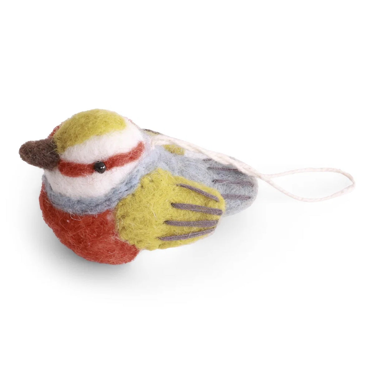 Silver Eye Bird