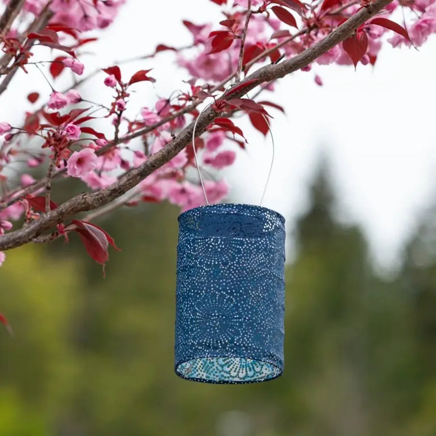 Soji Stella Ultramarine Lantern