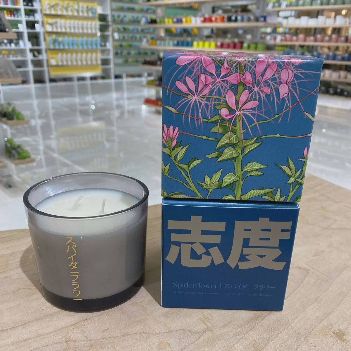 Spiderflower Shido Candle