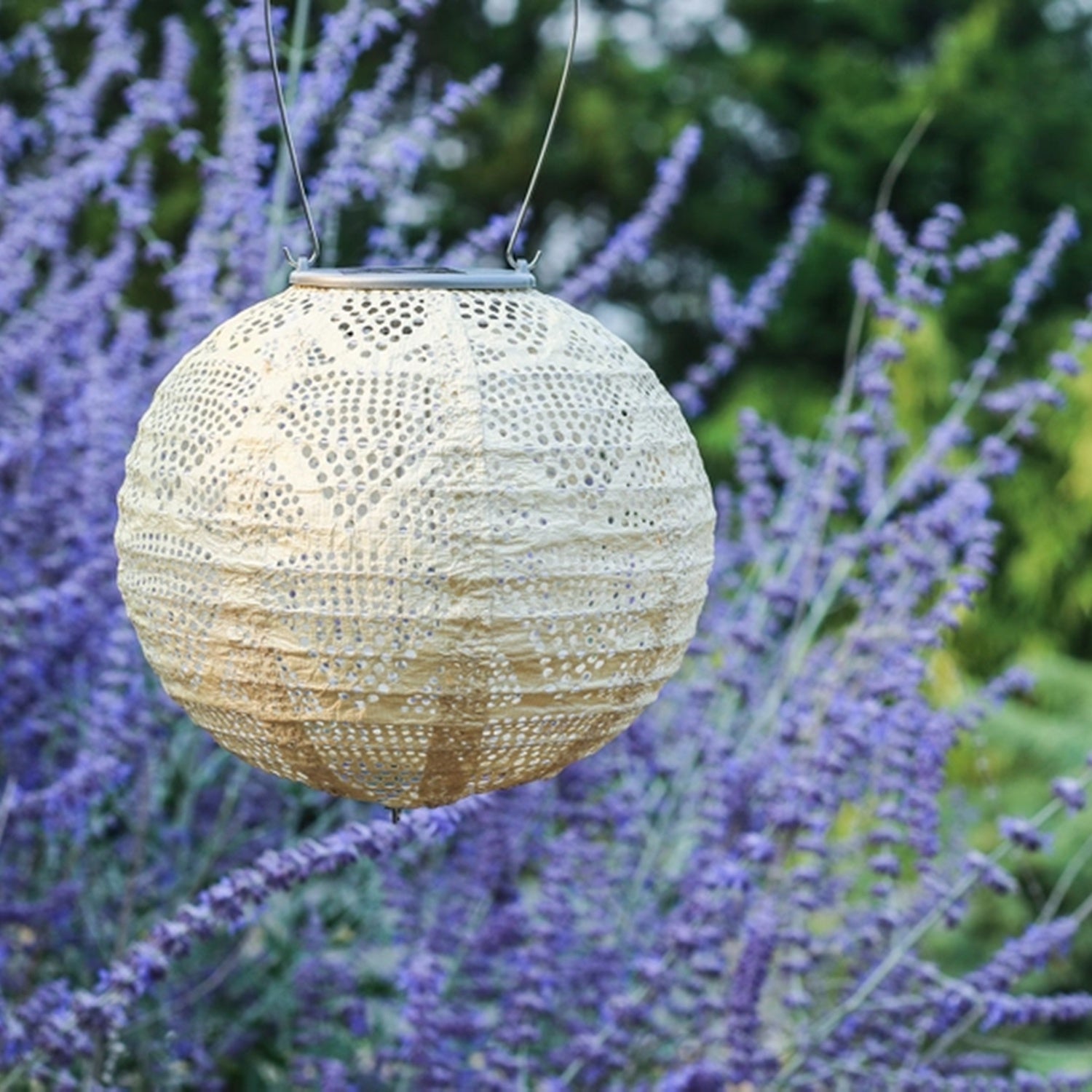 Stella 8" Globe Solar Lantern Pearl