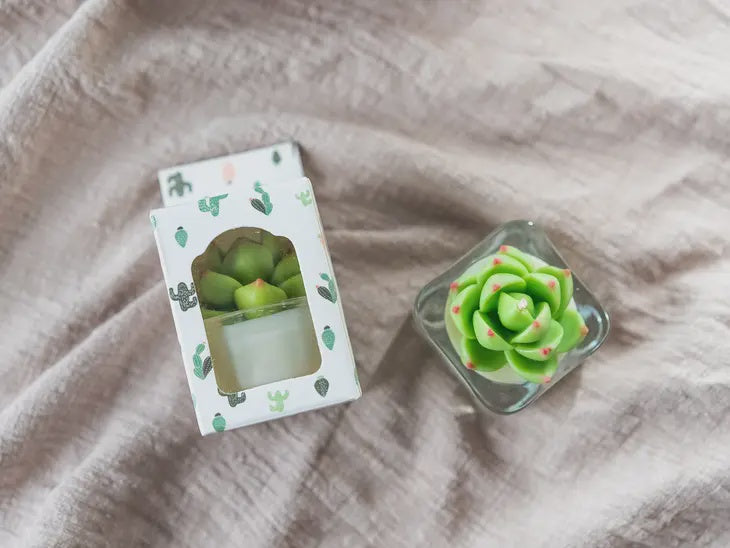 Succulent Tealight Candle