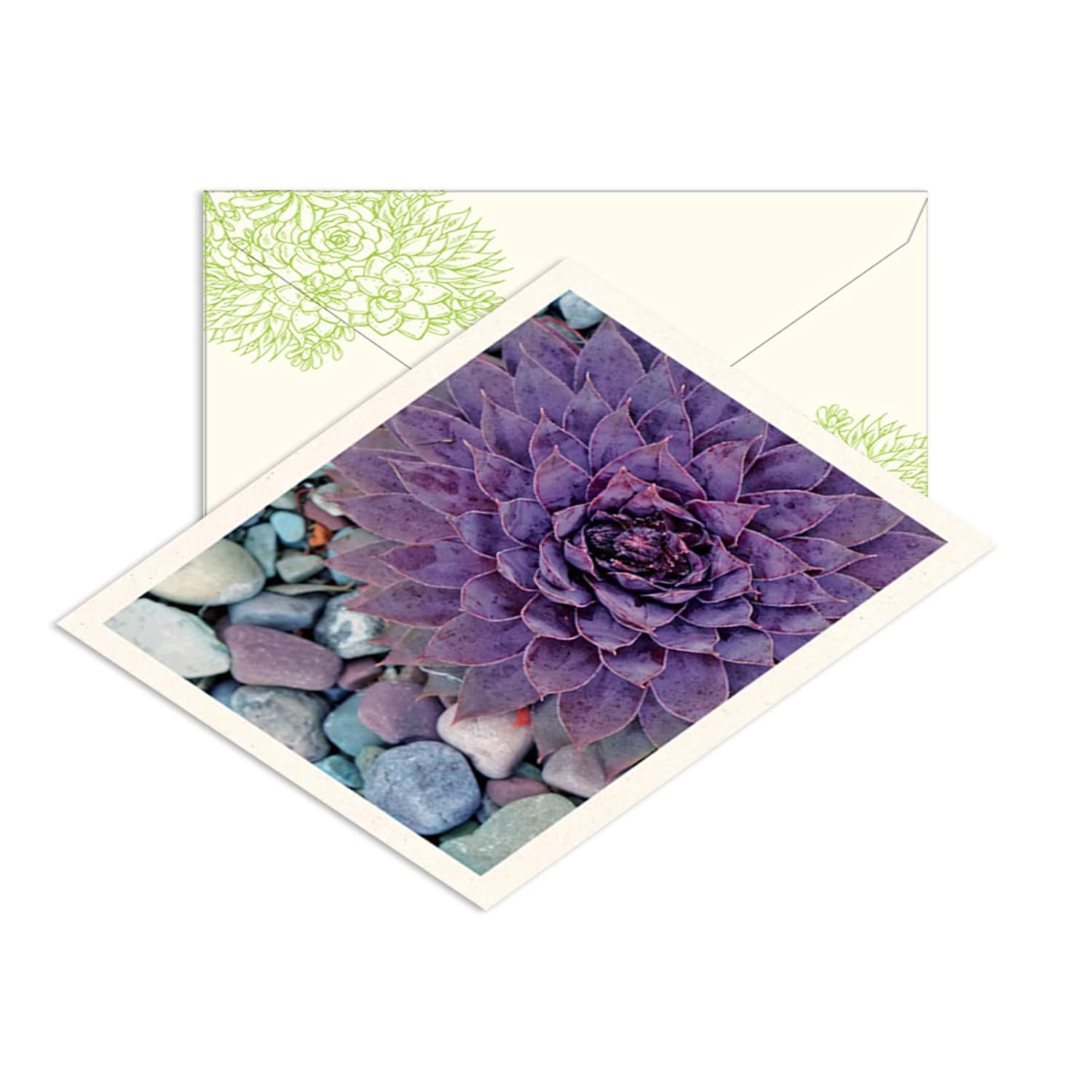 Succulents Notecards