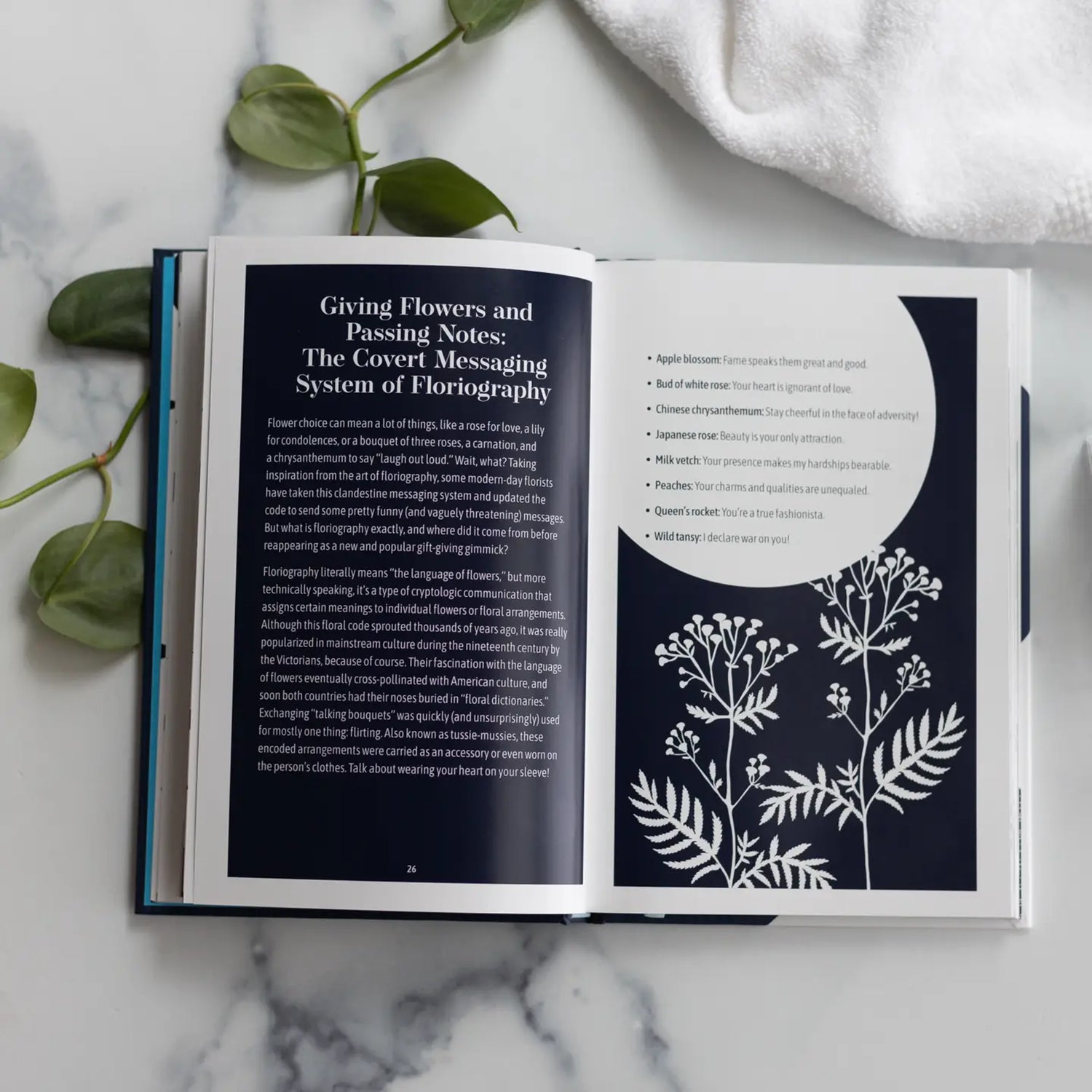 The Modern Bathroom Reader