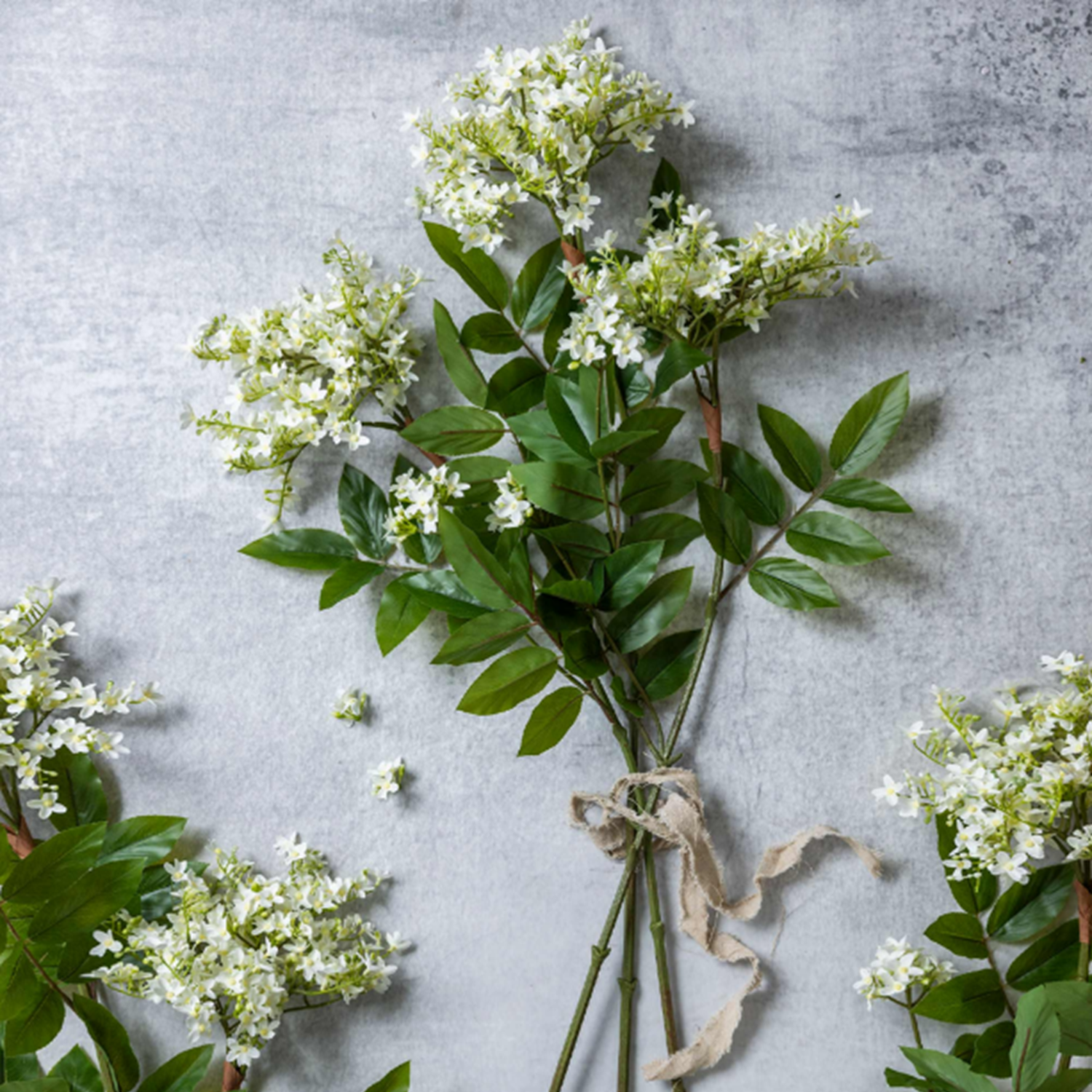 White Lilac Stem