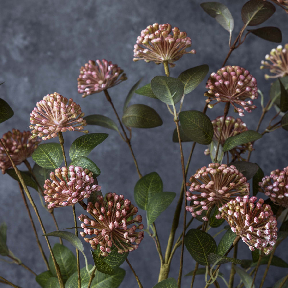 Eucalyptus Berry