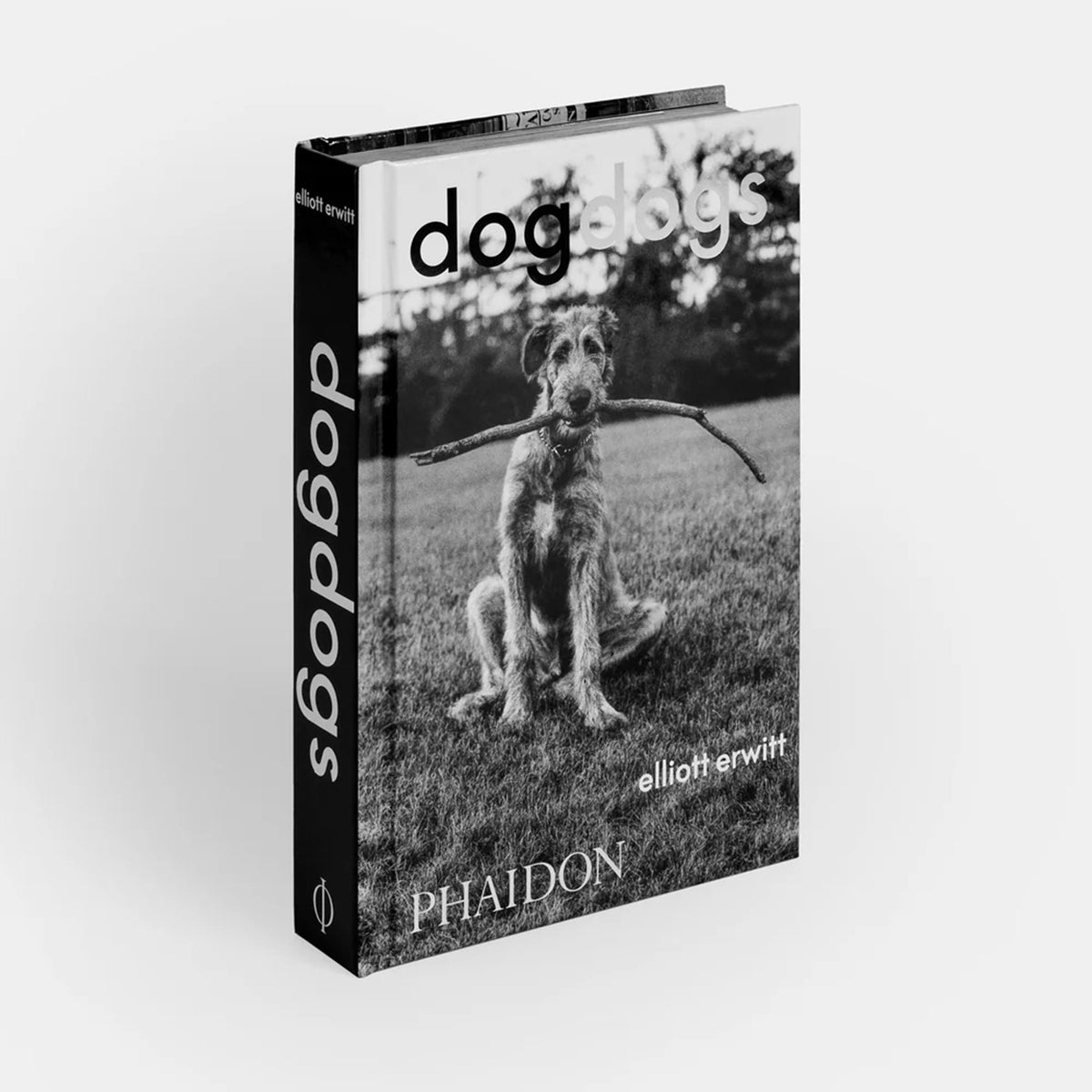 DogDogs