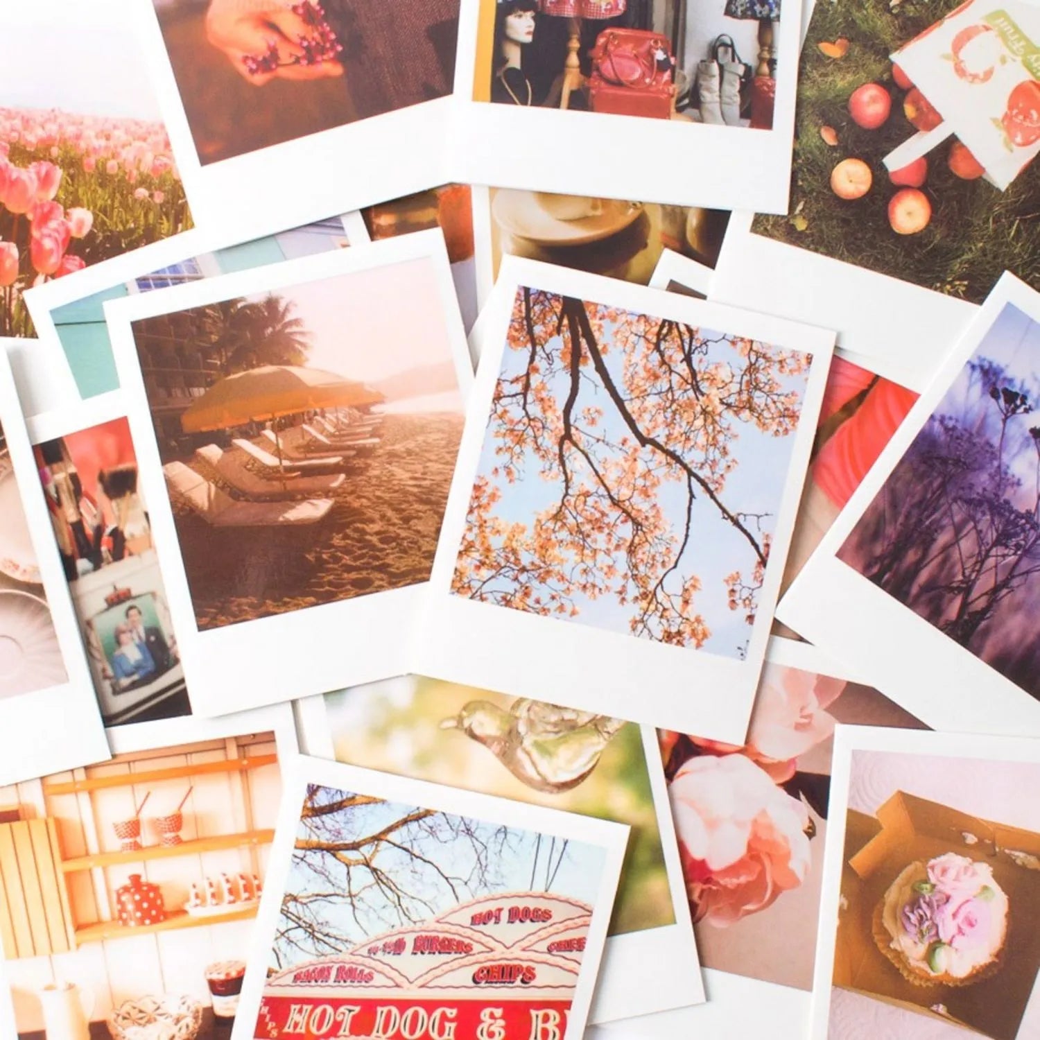 Pretty Polaroid Notecards