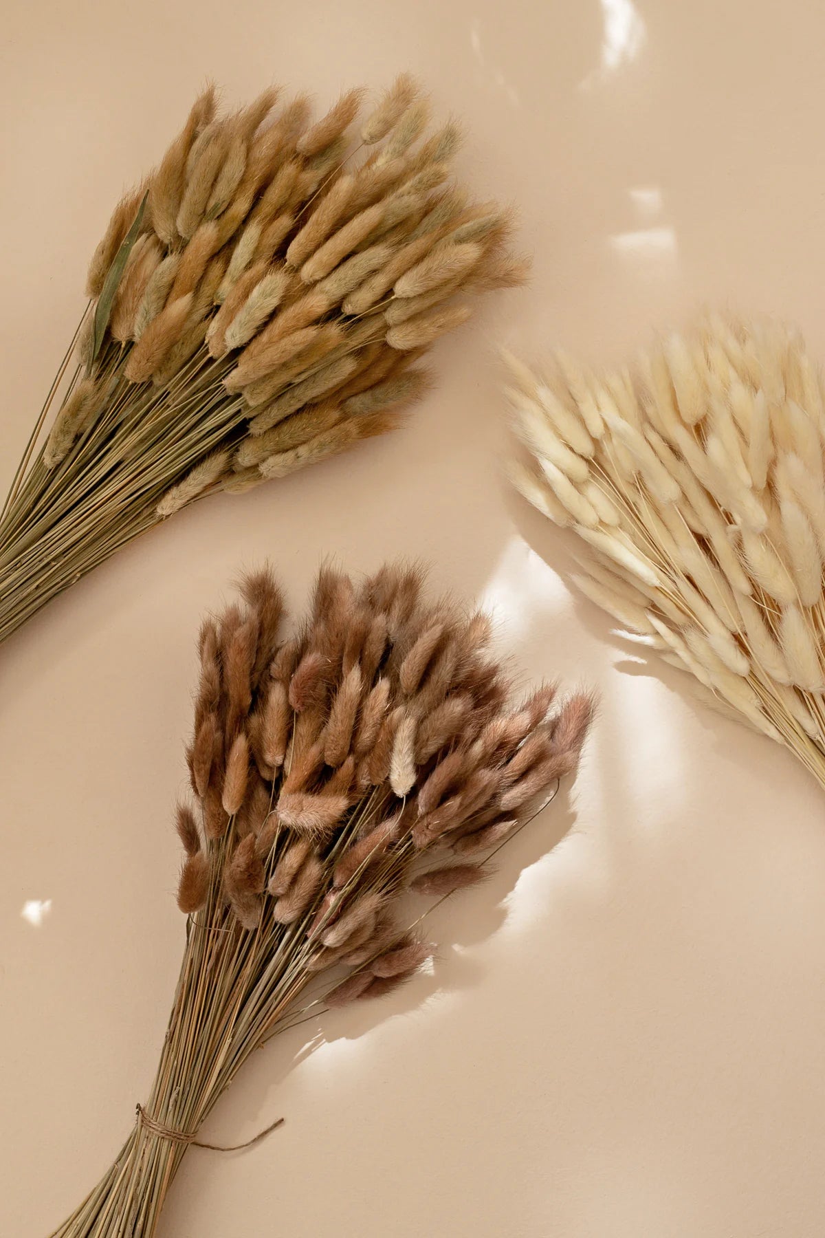 Dried Bunny Tails Bouquet