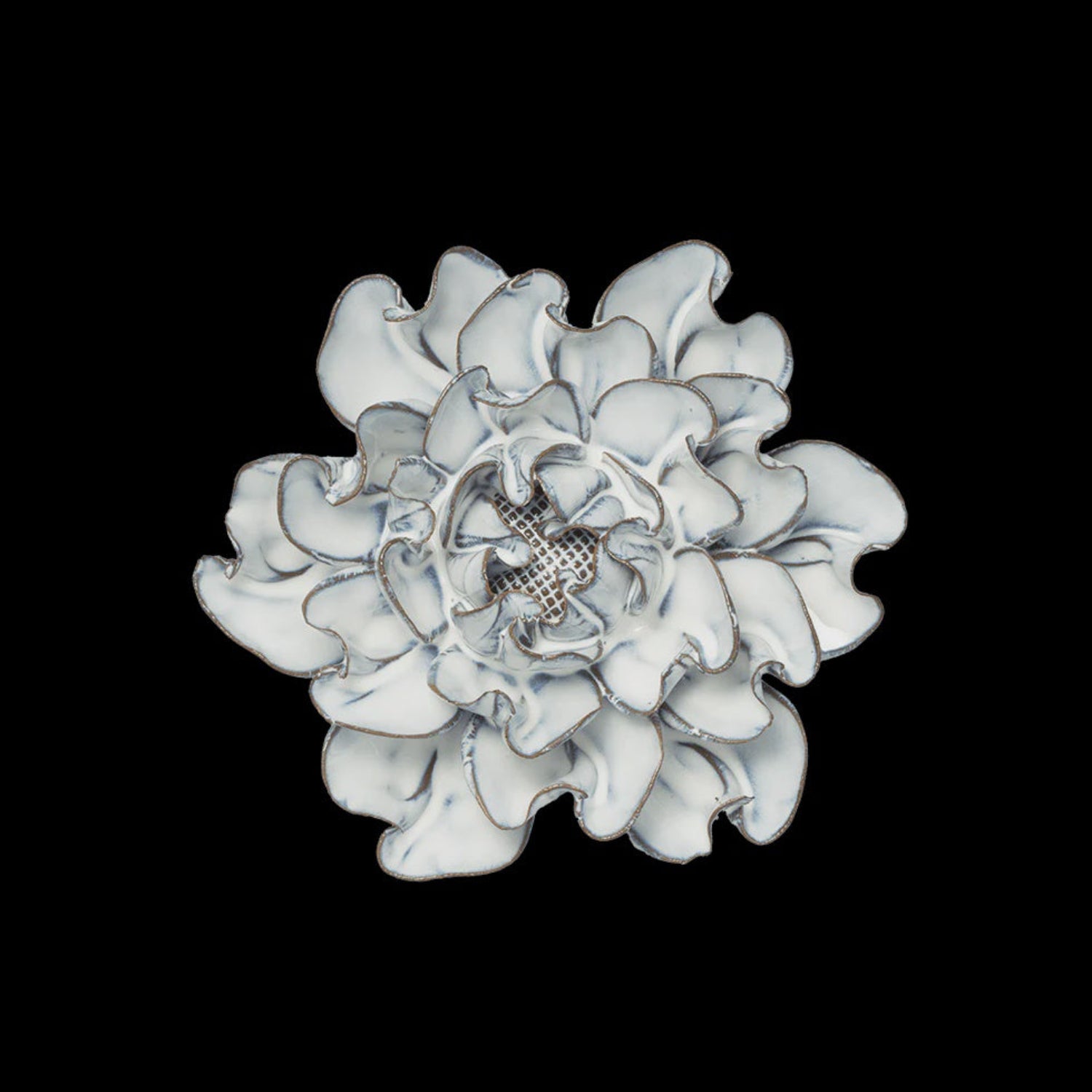 Nantucket Hawthorn 8